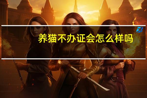 养猫不办证会怎么样吗