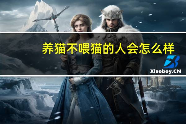 养猫不喂猫的人会怎么样