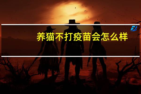 养猫不打疫苗会怎么样