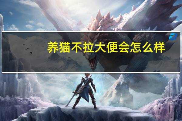 养猫不拉大便会怎么样