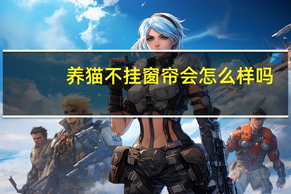养猫不挂窗帘会怎么样吗