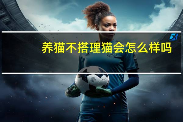 养猫不搭理猫会怎么样吗
