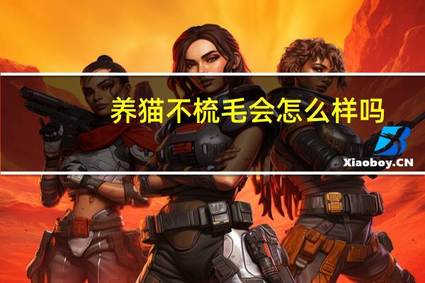 养猫不梳毛会怎么样吗