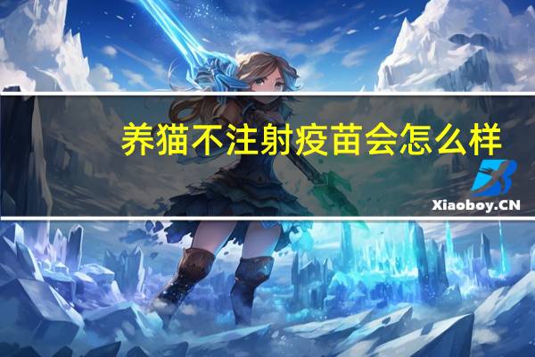 养猫不注射疫苗会怎么样