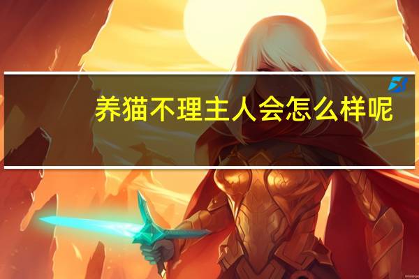 养猫不理主人会怎么样呢