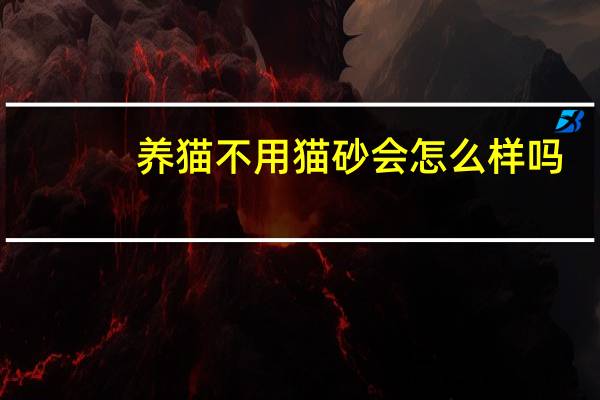 养猫不用猫砂会怎么样吗