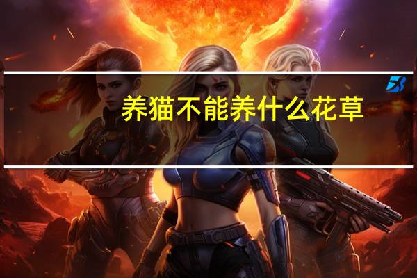 养猫不能养什么花草