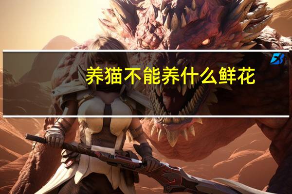 养猫不能养什么鲜花