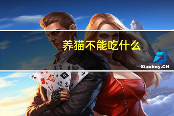 养猫不能吃什么