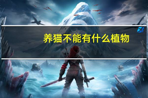 养猫不能有什么植物