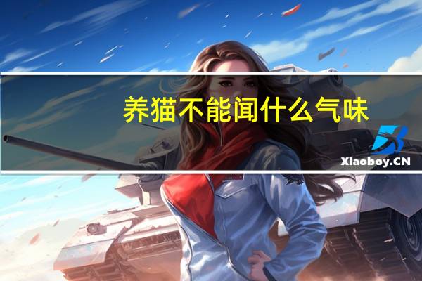 养猫不能闻什么气味