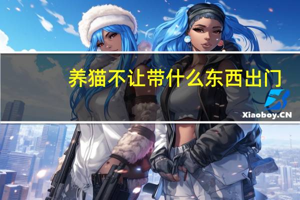 养猫不让带什么东西出门
