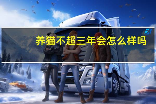 养猫不超三年会怎么样吗