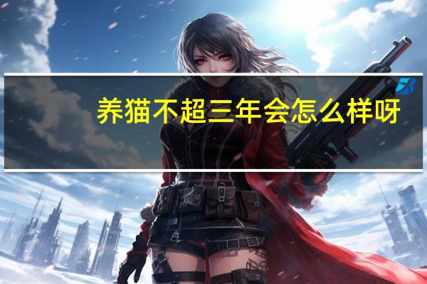 养猫不超三年会怎么样呀