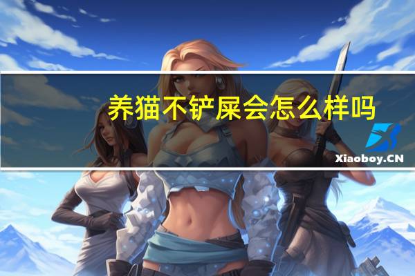 养猫不铲屎会怎么样吗