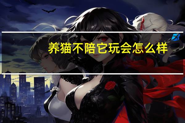 养猫不陪它玩会怎么样