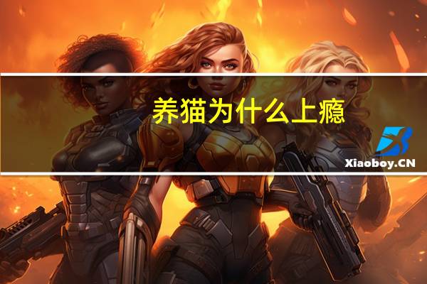 养猫为什么上瘾