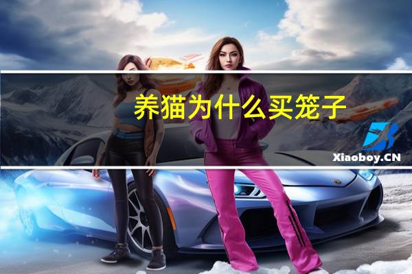 养猫为什么买笼子