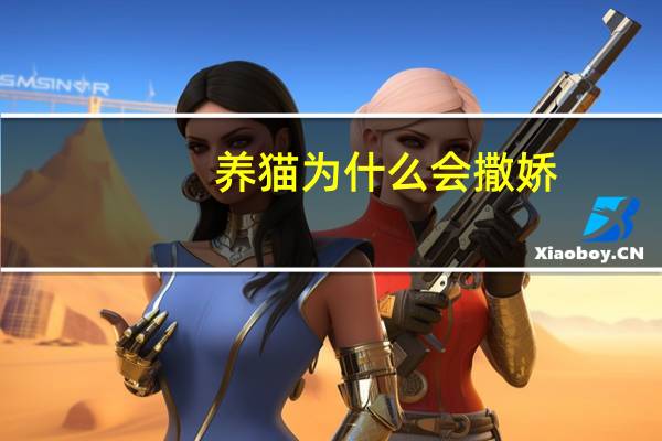 养猫为什么会撒娇