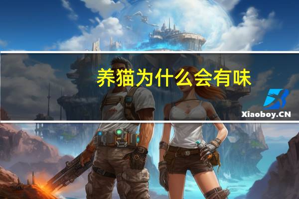 养猫为什么会有味