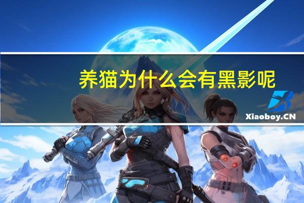养猫为什么会有黑影呢