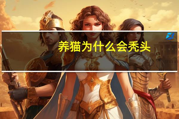 养猫为什么会秃头