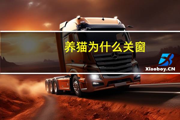 养猫为什么关窗