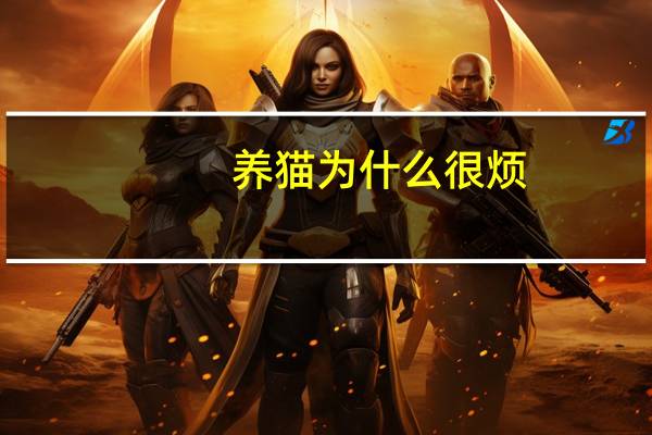 养猫为什么很烦