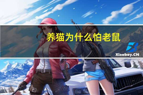 养猫为什么怕老鼠