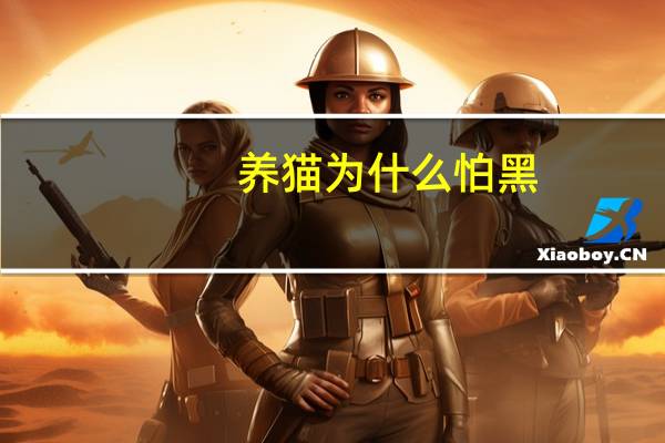 养猫为什么怕黑