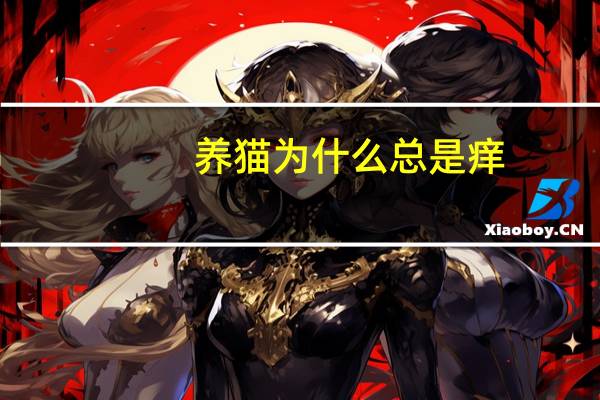 养猫为什么总是痒