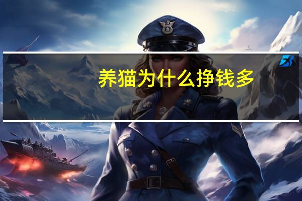 养猫为什么挣钱多