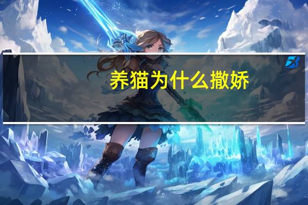养猫为什么撒娇