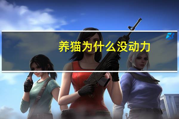 养猫为什么没动力
