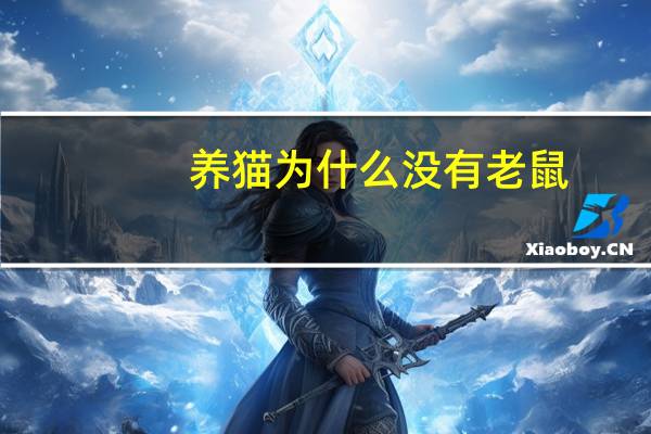 养猫为什么没有老鼠