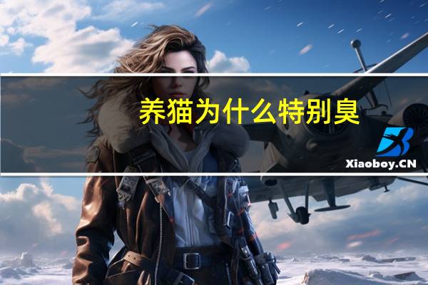 养猫为什么特别臭