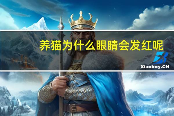 养猫为什么眼睛会发红呢