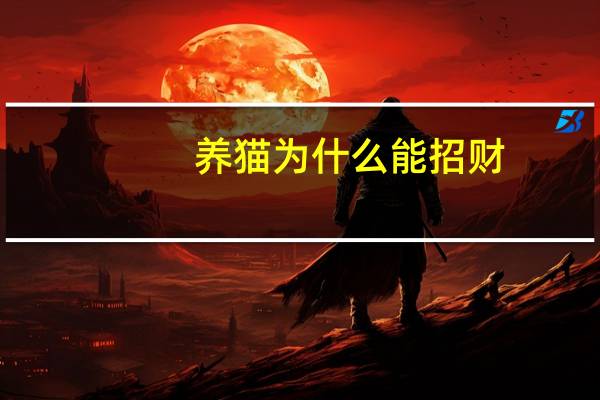 养猫为什么能招财