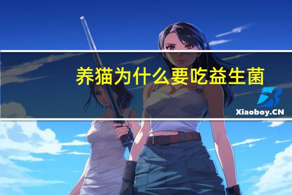 养猫为什么要吃益生菌