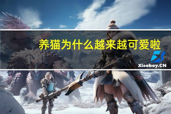 养猫为什么越来越可爱啦