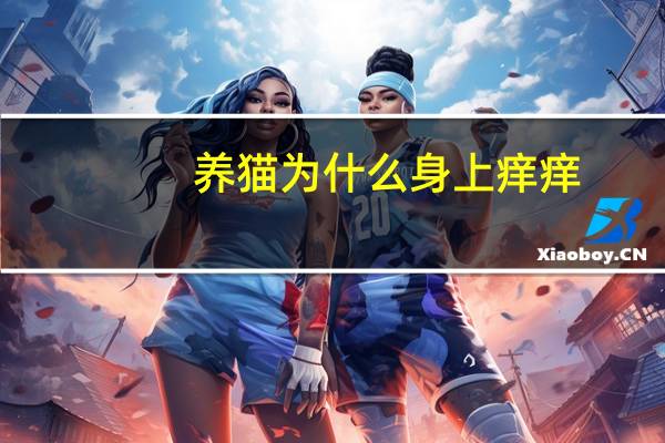 养猫为什么身上痒痒