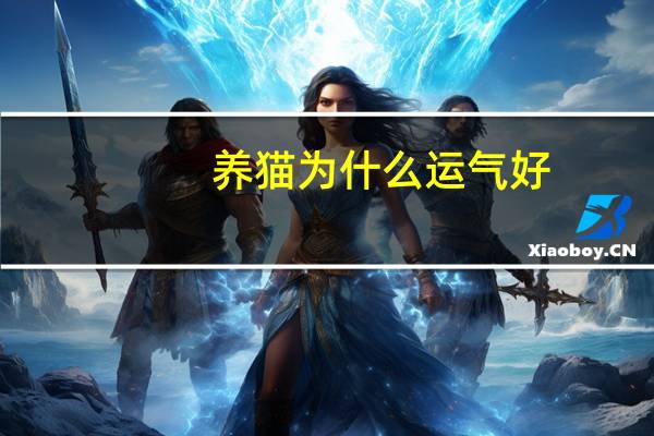 养猫为什么运气好
