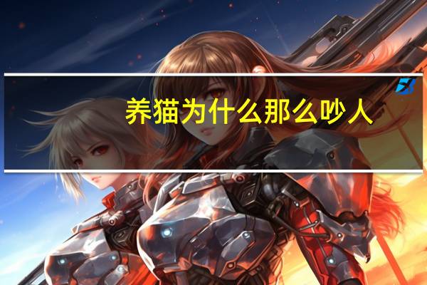 养猫为什么那么吵人