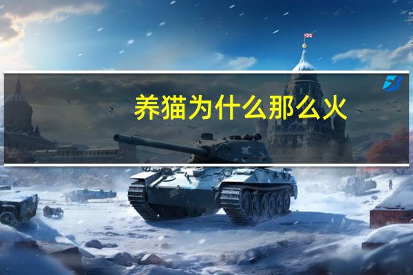 养猫为什么那么火