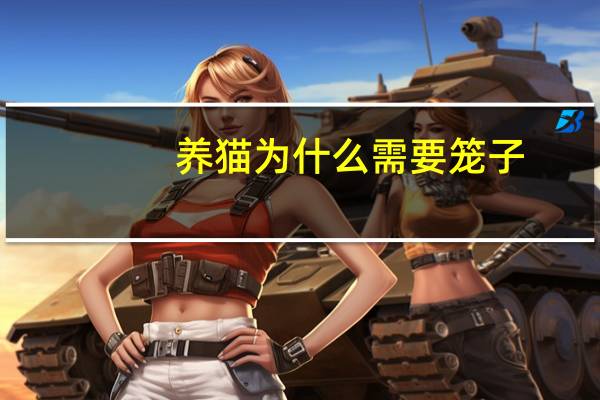 养猫为什么需要笼子