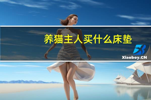 养猫主人买什么床垫