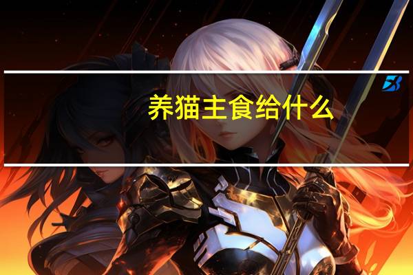 养猫主食给什么