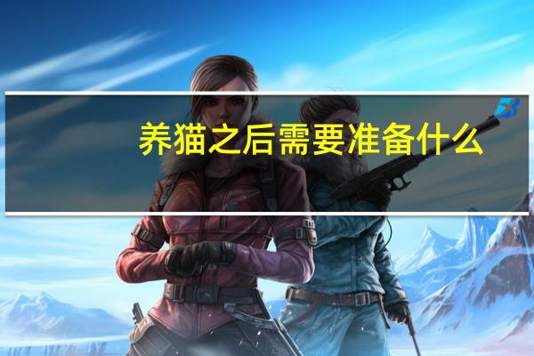 养猫之后需要准备什么