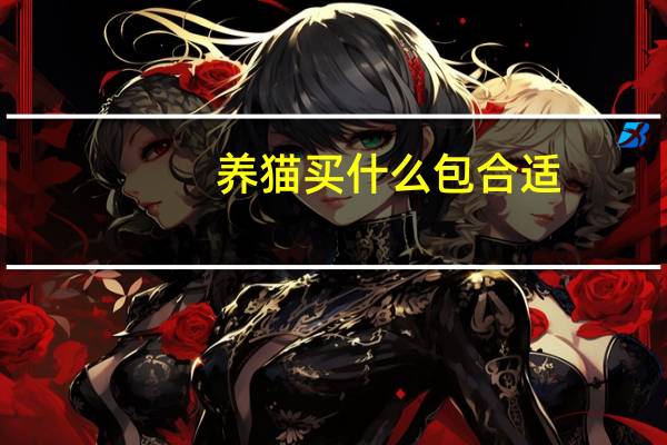 养猫买什么包合适
