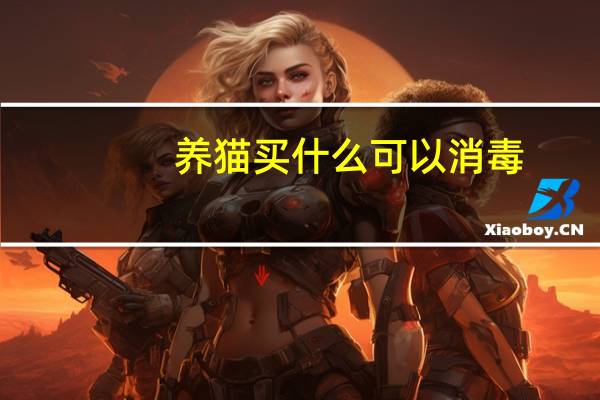 养猫买什么可以消毒